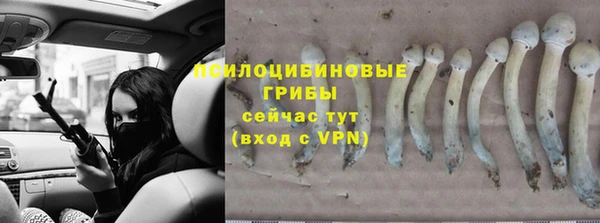прущая мука Богородицк