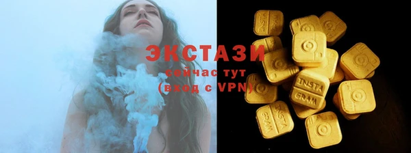 стаф Богданович