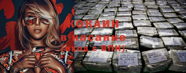 стаф Богданович