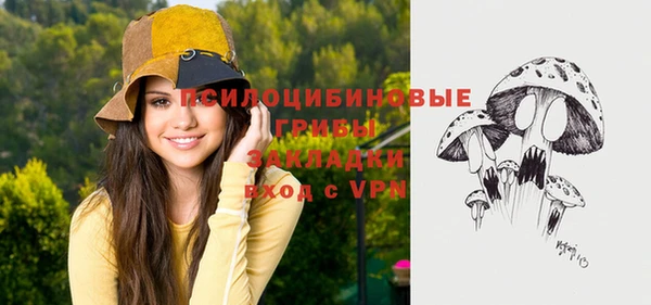 молекула духа Верея