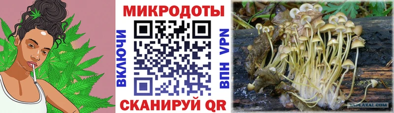 Галлюциногенные грибы MAGIC MUSHROOMS  Купить где  Новосиль 