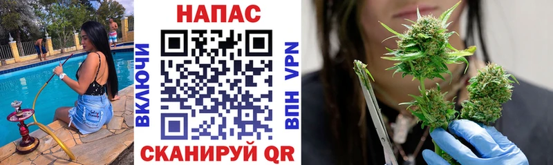 Конопля LSD WEED  Купить где  Новосиль 